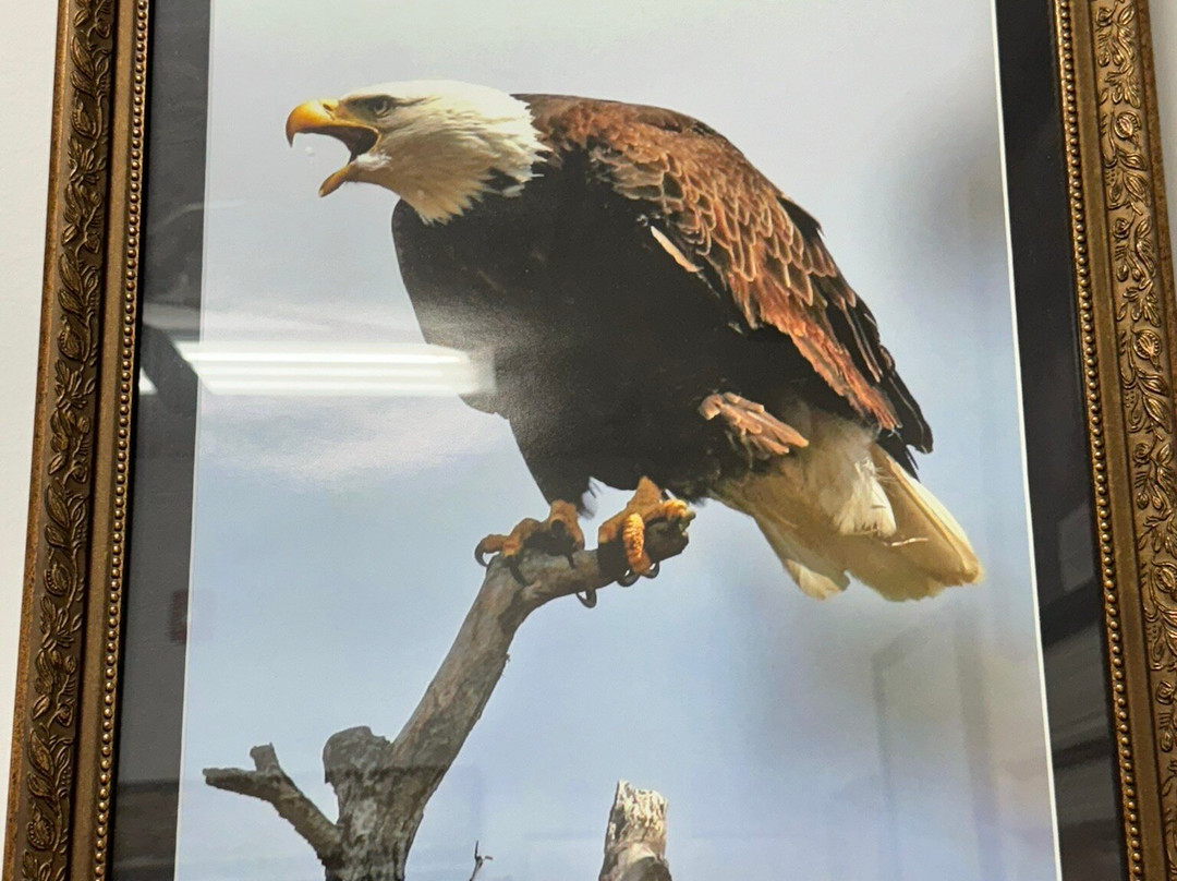 Litchfield Museum & Route 66 Welcome Center-Litchfield必去景点