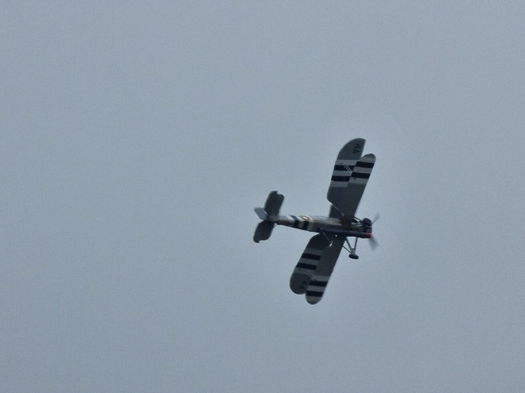 Compton Abbas Airfield景点图片