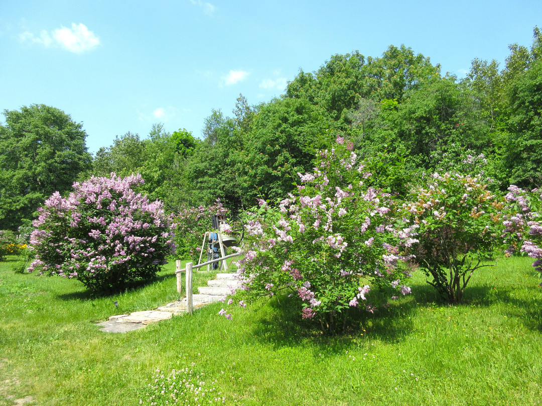 Les Jardins du Cap à l'Aigle-拉马尔拜必去景点