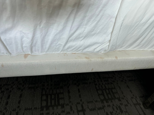 Le Méridien Atlanta Perimeter主图