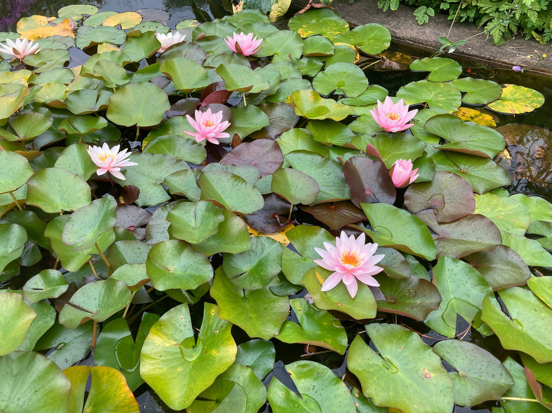 Haven I Hune景点图片