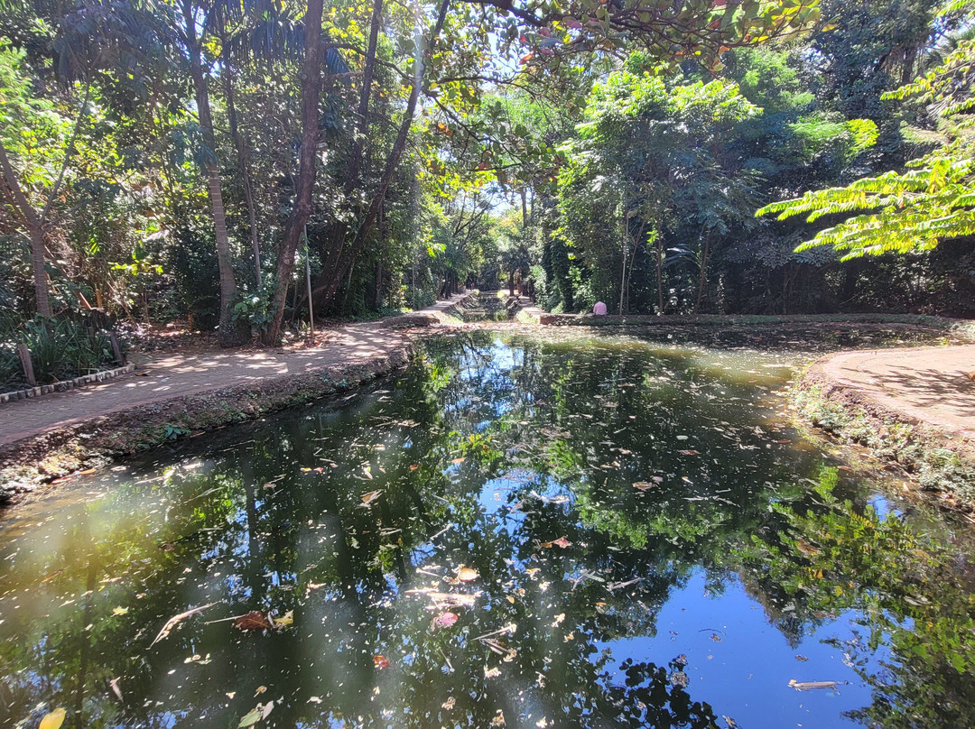 Bosque dos Buritis-戈亚尼亚必去景点