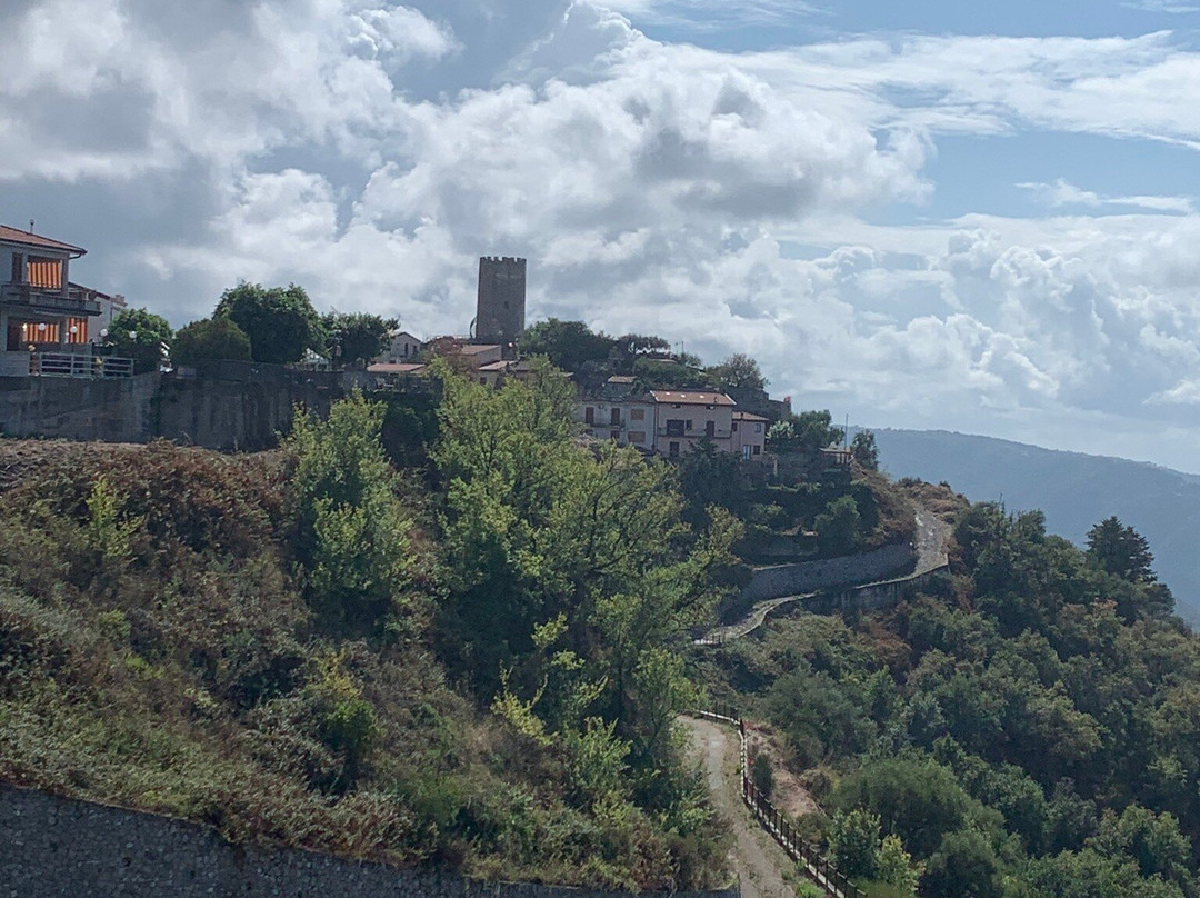 Torre Saracena景点图片