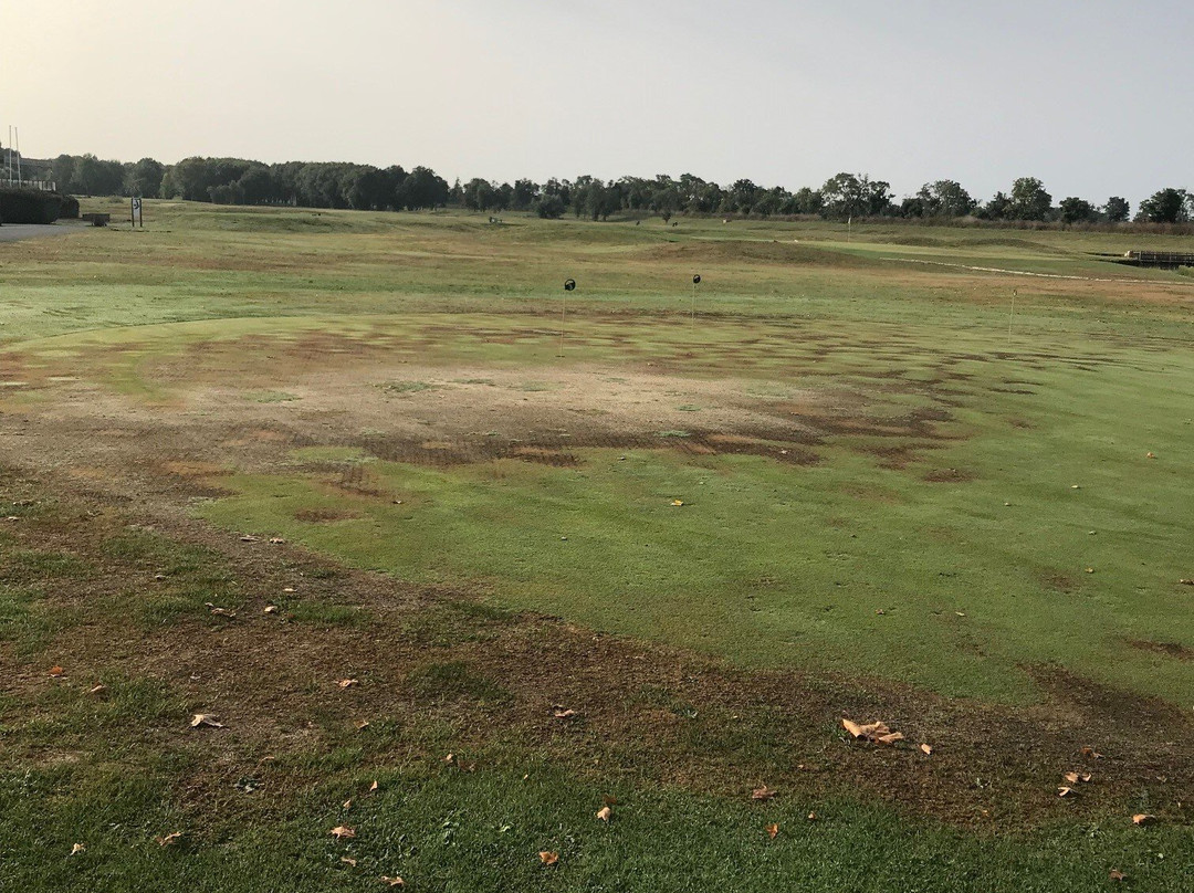 Golf de Margaux景点图片