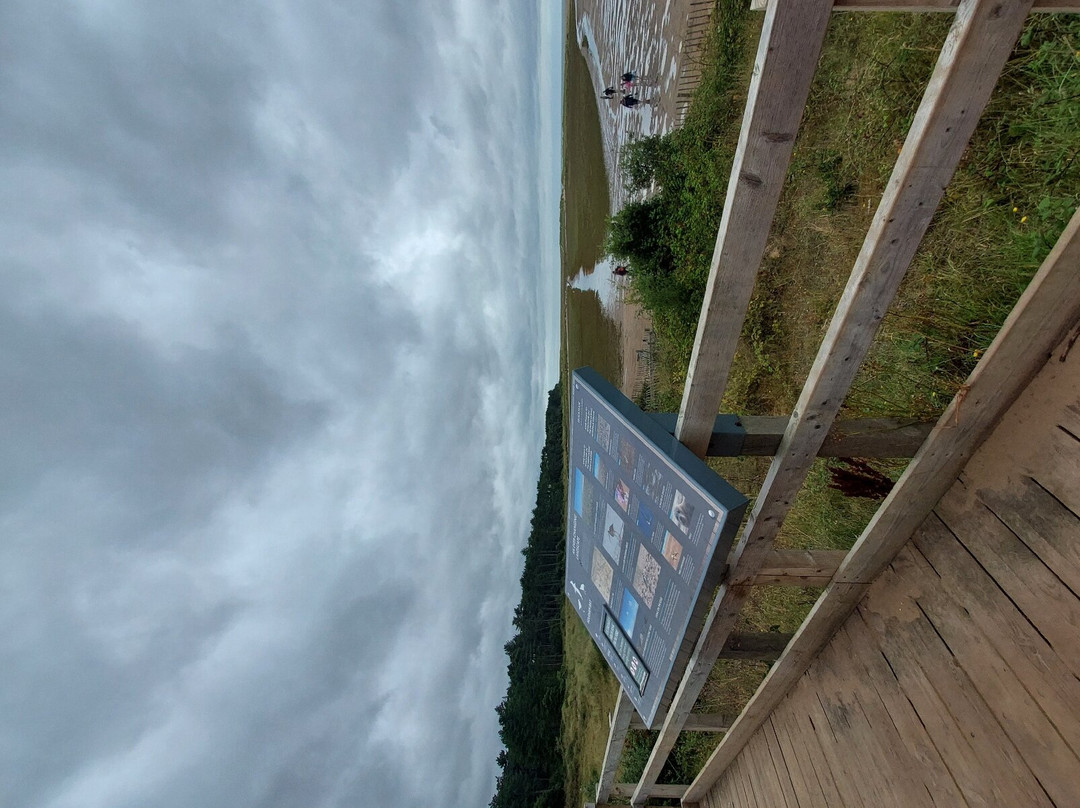 Holkham National Nature Reserve-Holkham必去景点