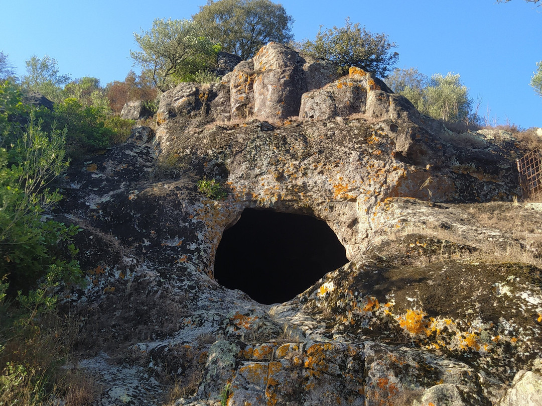 Domus Mandra Antine景点图片