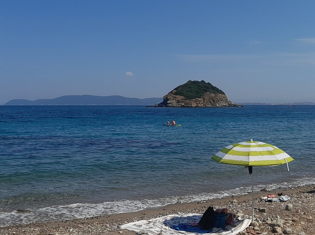 Spiaggia di Frugoso景点图片