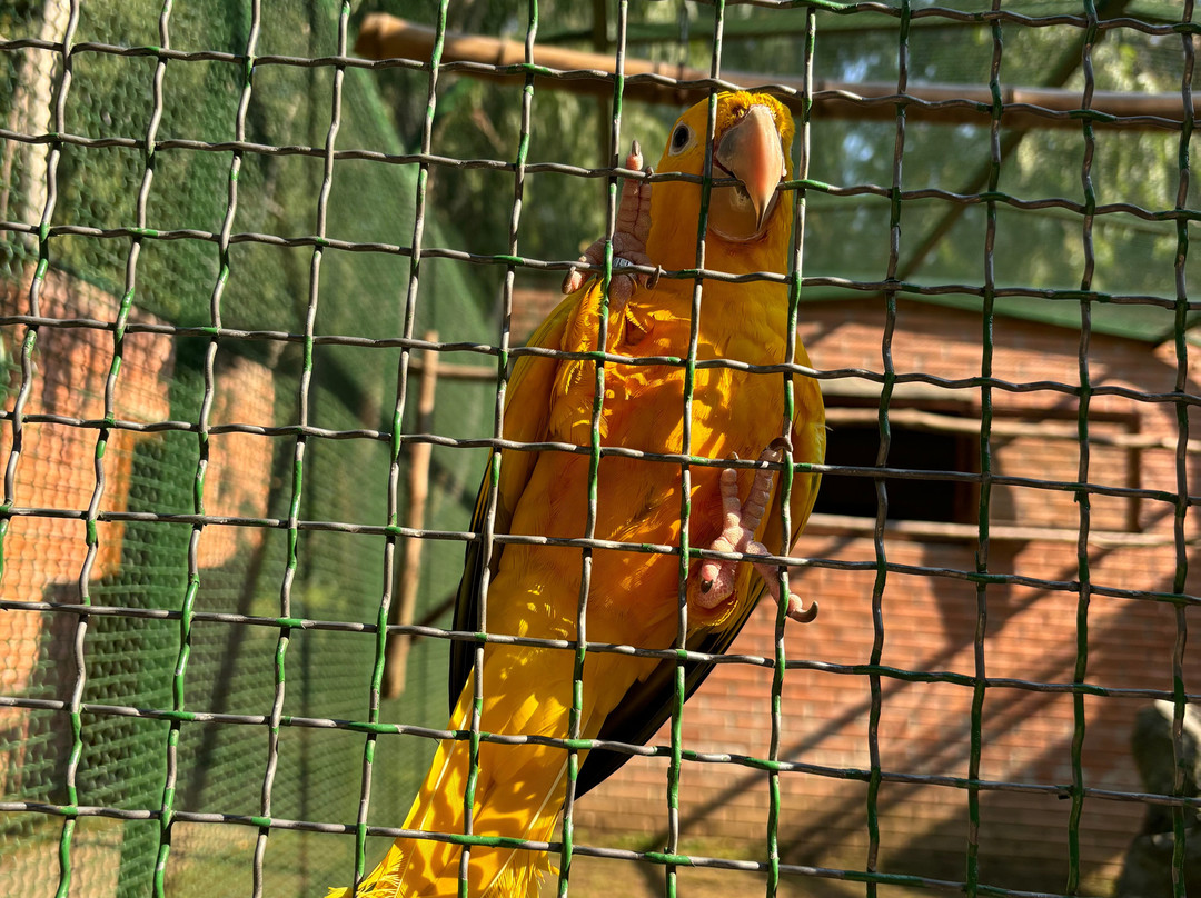 Shekvetili Dendrological Park-Shekhvetili必去景点