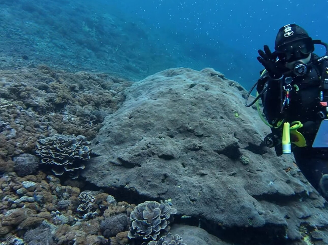 DPM Diving Nusa Penida-珀尼达岛必去景点