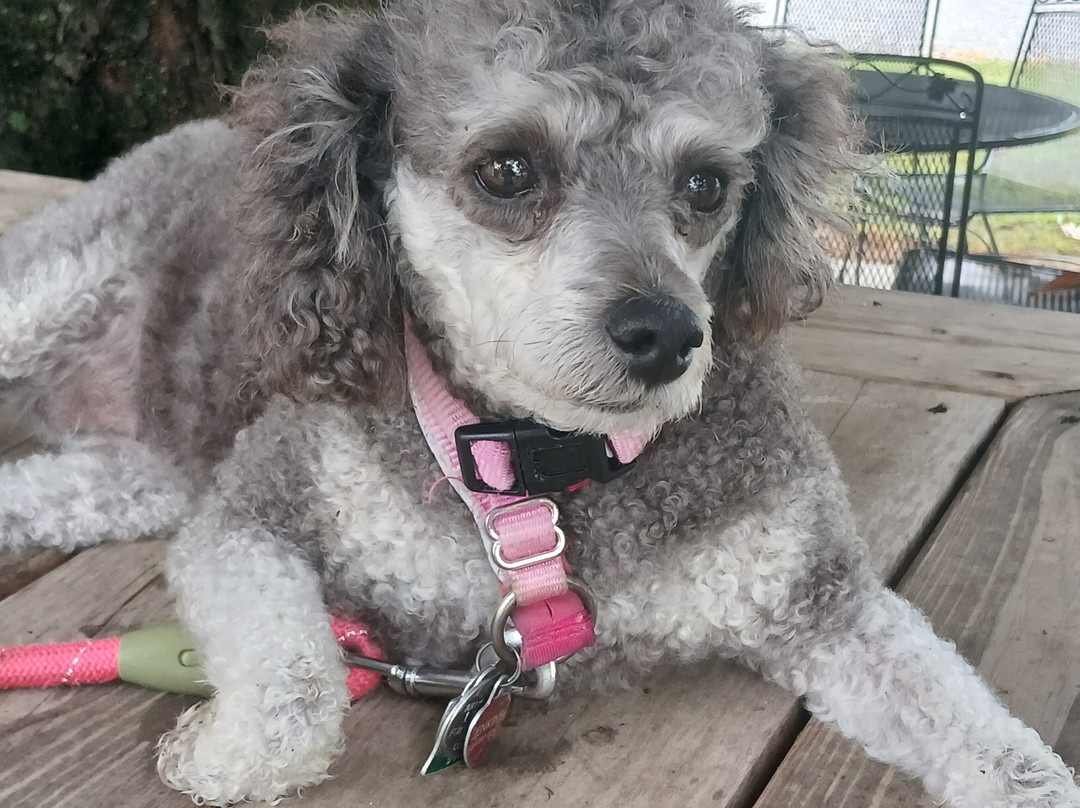 A Secret Garden Winery-Pikeville必去景点