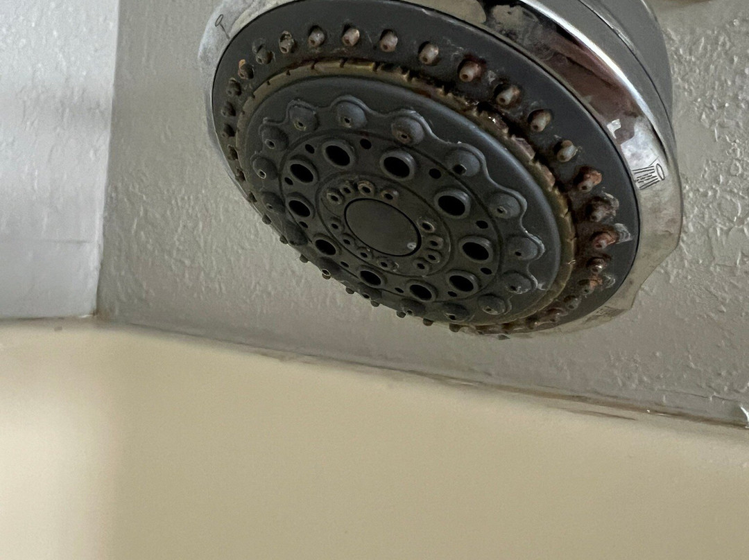 Quality Inn & Suites Georgetown - Seaford主图