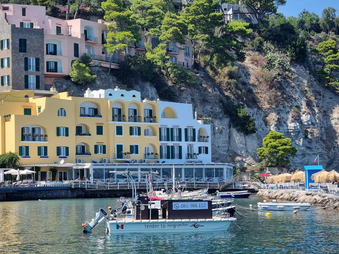 Fungo Di Lacco Ameno景点图片