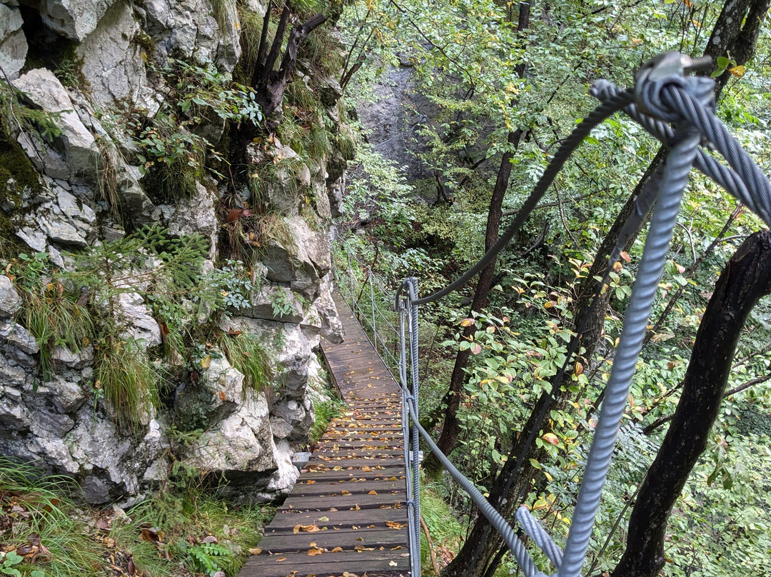Dovzan Gorge-特尔日奇必去景点