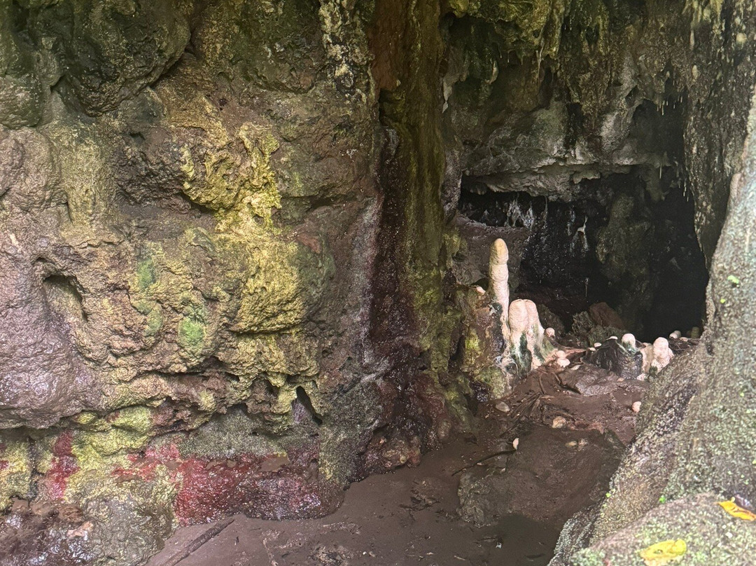 Rwenzori Mountains-Kasese必去景点