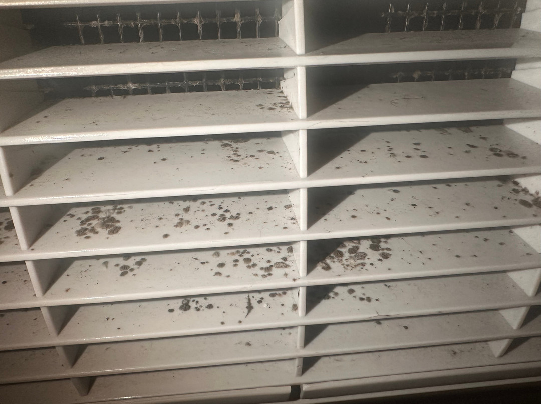 Hampton Inn Baltimore/White Marsh主图