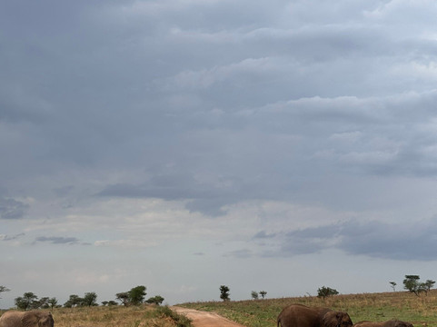 Tanzania Kanyenga-阿鲁沙必去景点
