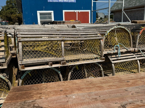 Duncan's Island Tours-夏洛特镇必去景点