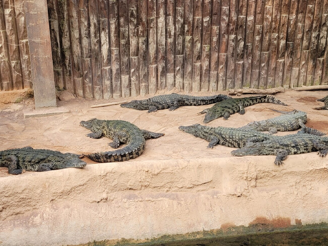 Terre de Dragons景点图片