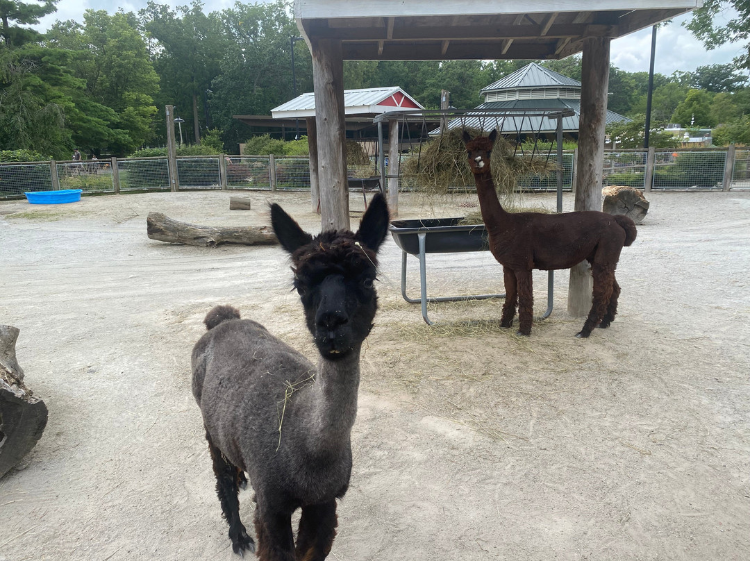 Potawatomi Zoo-南本德必去景点