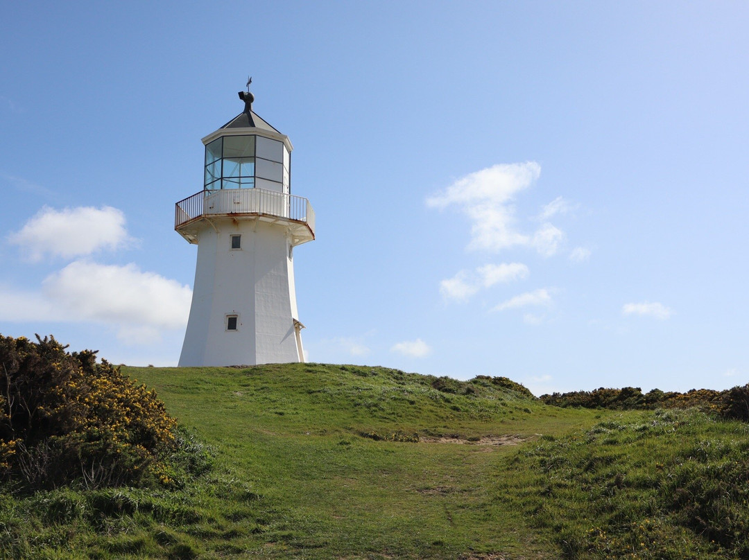 Pencarrow Coastal Trail景点图片