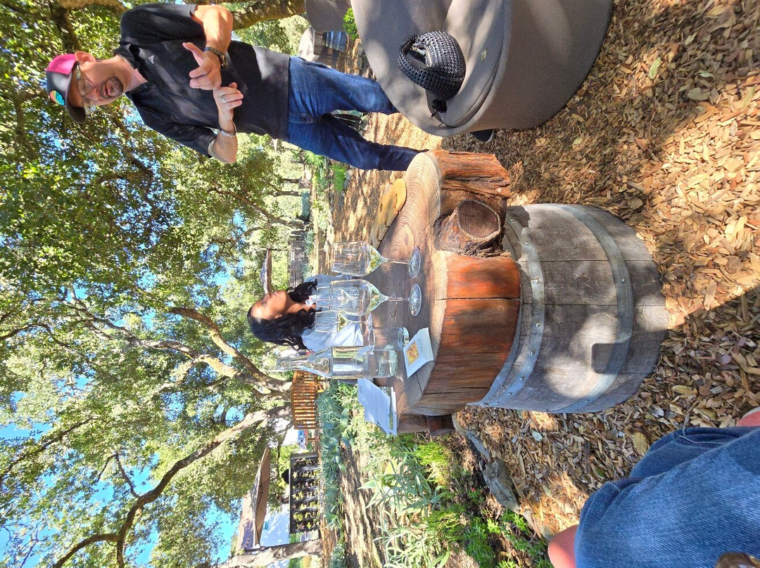 Sonoma Valley Trail Rides景点图片