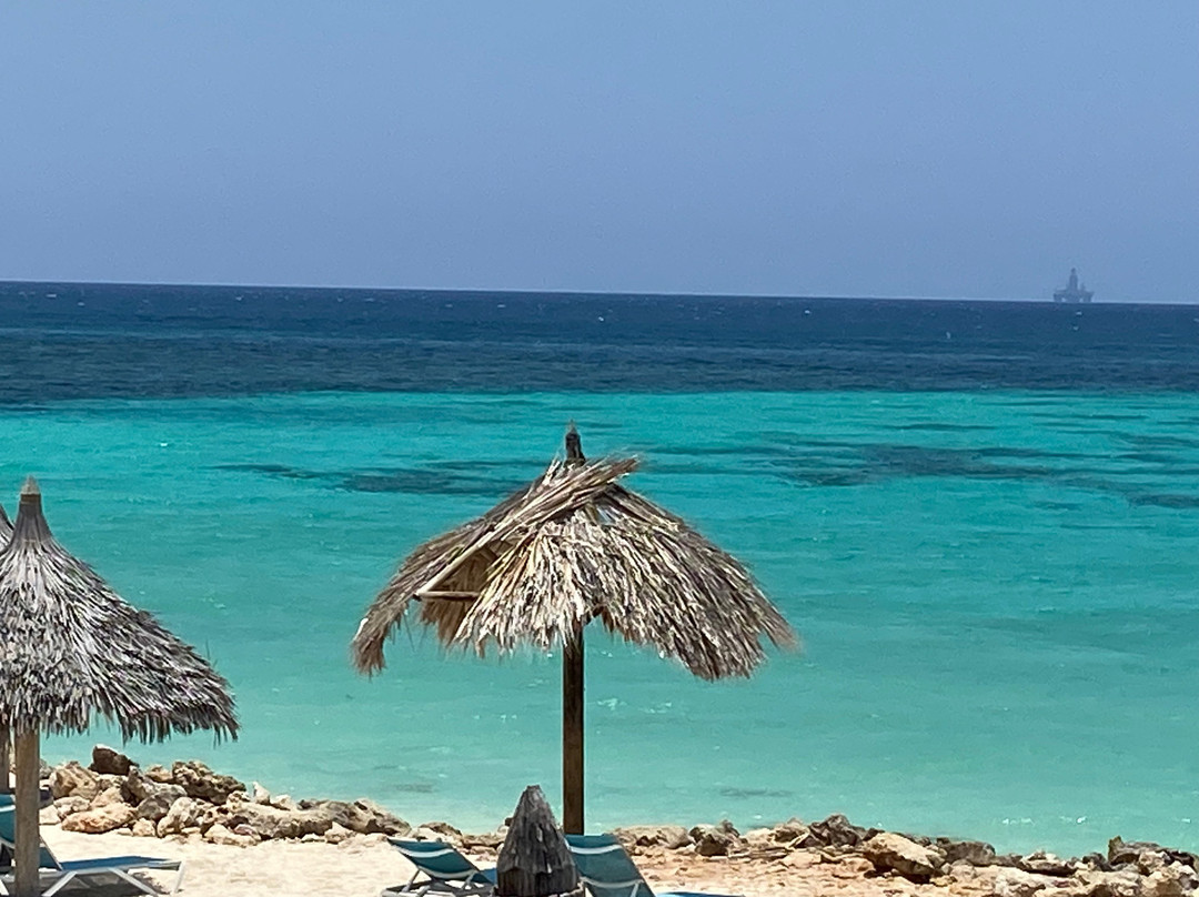 Tamarijn Aruba All Inclusive主图