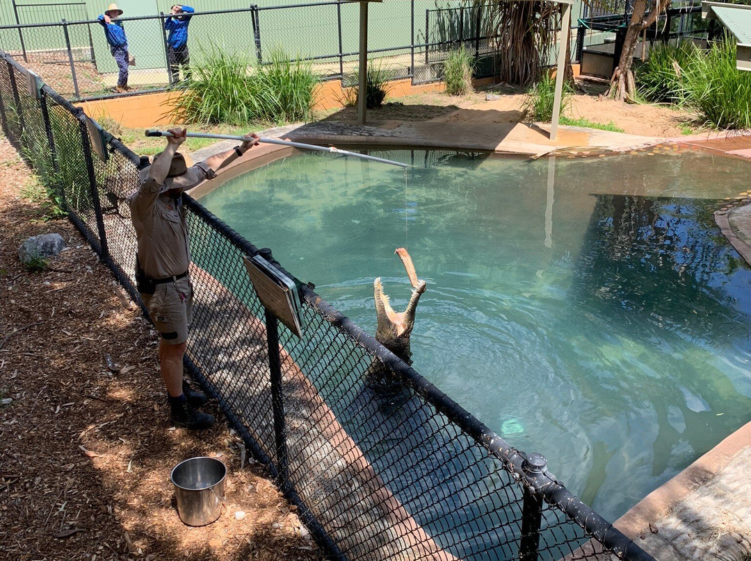 洛坎普顿植物园及动物园-罗克汉普顿必去景点