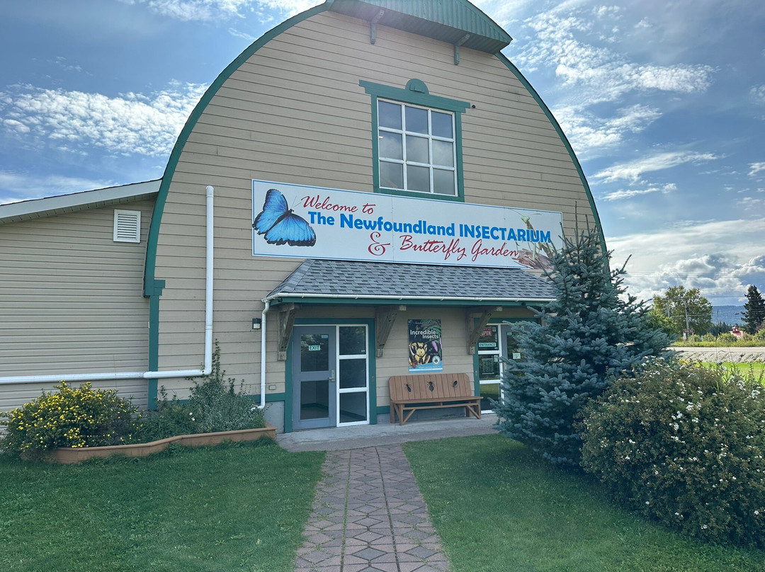 Newfoundland Insectarium-Reidville必去景点