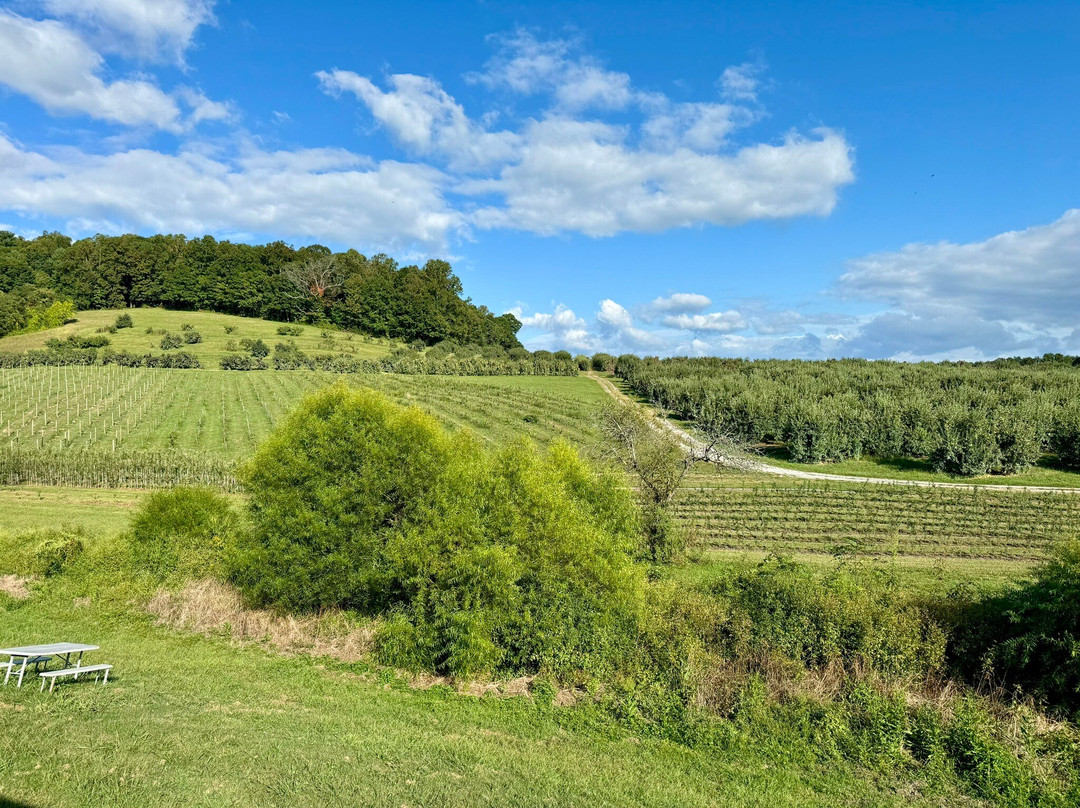Appalachian Ridge Artisan Hard Cider景点图片