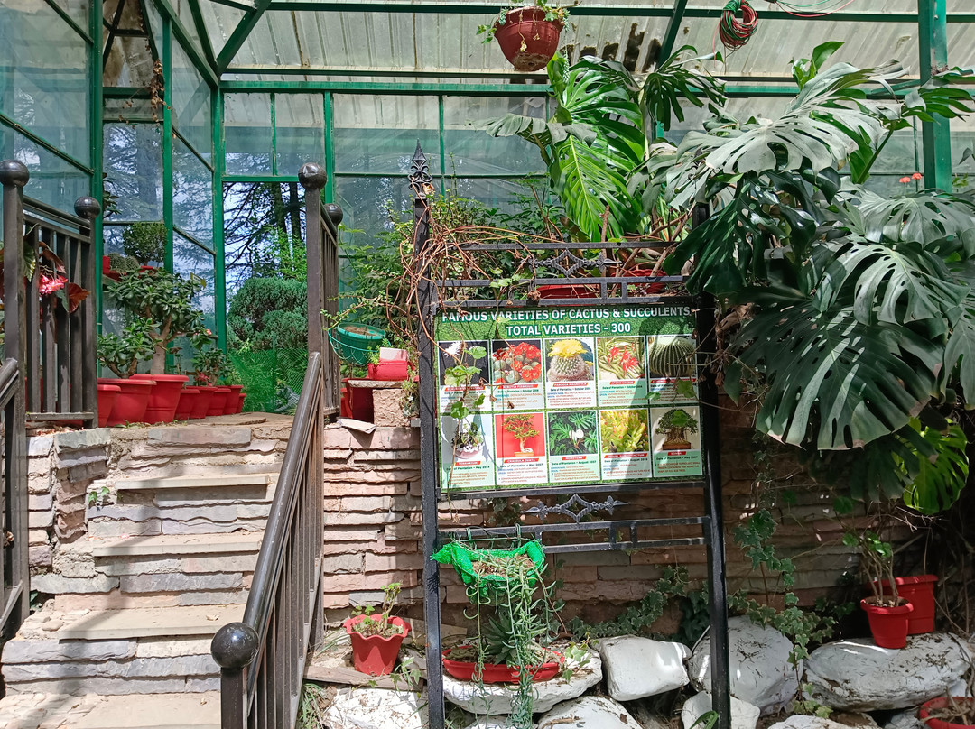Annandale Ground景点图片
