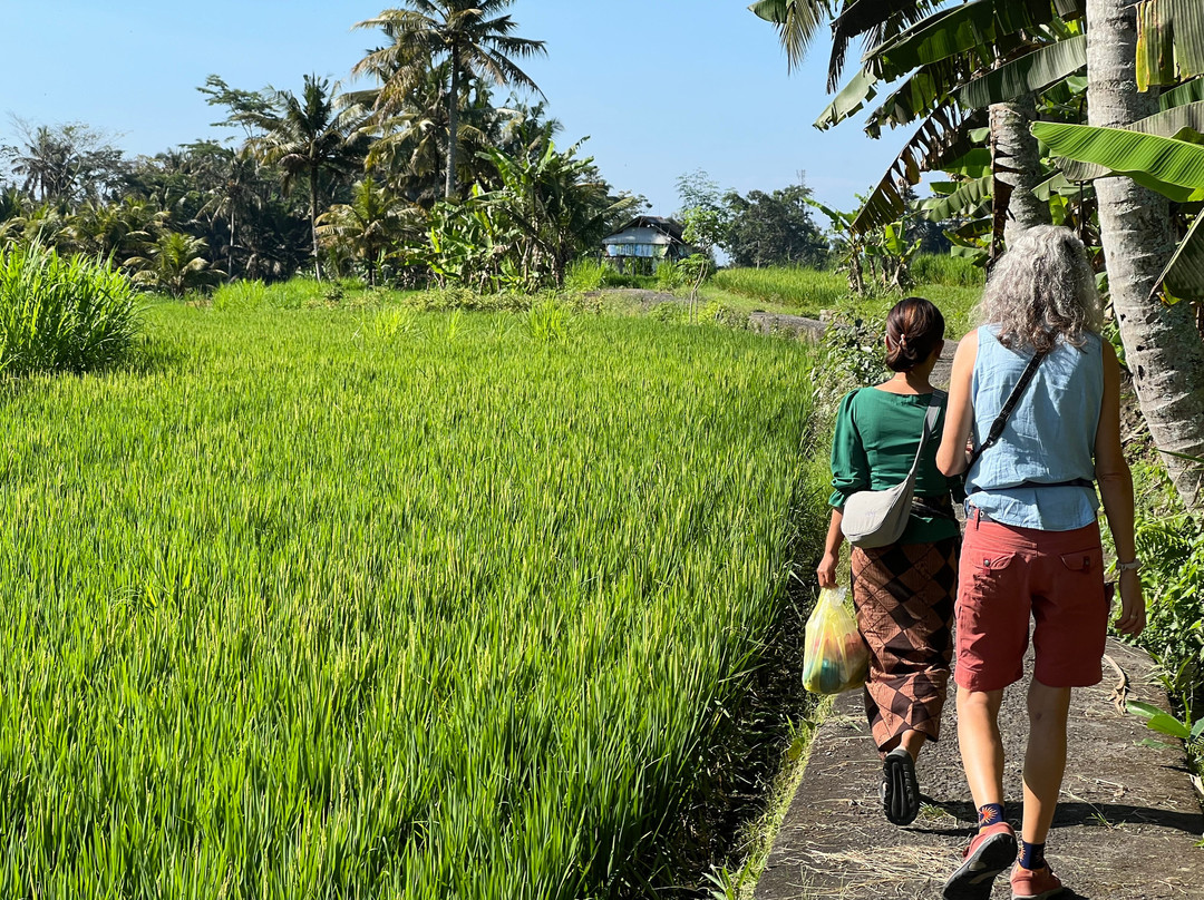 Ubud Village Plate景点图片