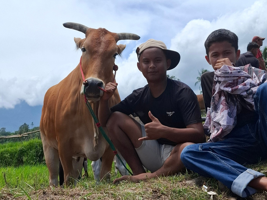 Lite 'N' Easy Tour-武吉丁宜必去景点