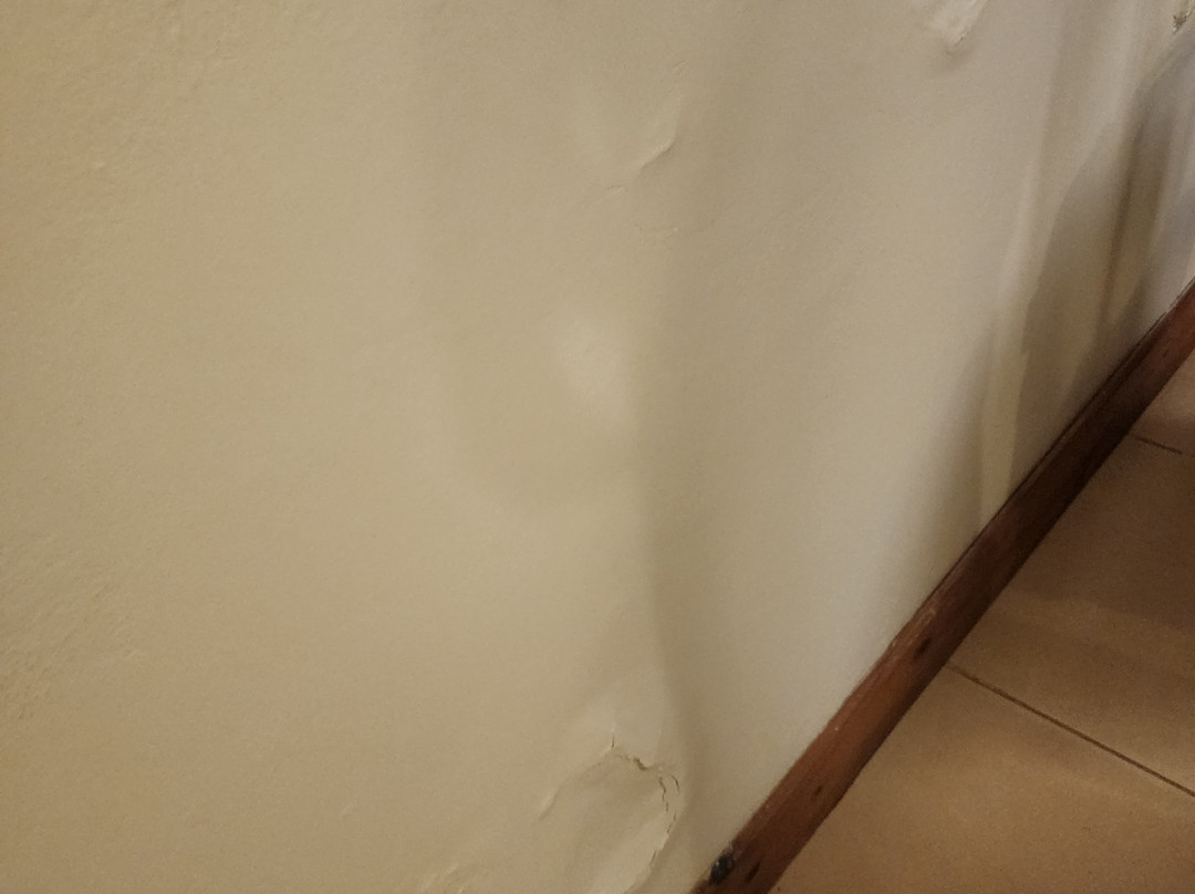 Julio Cesar Hotel主图