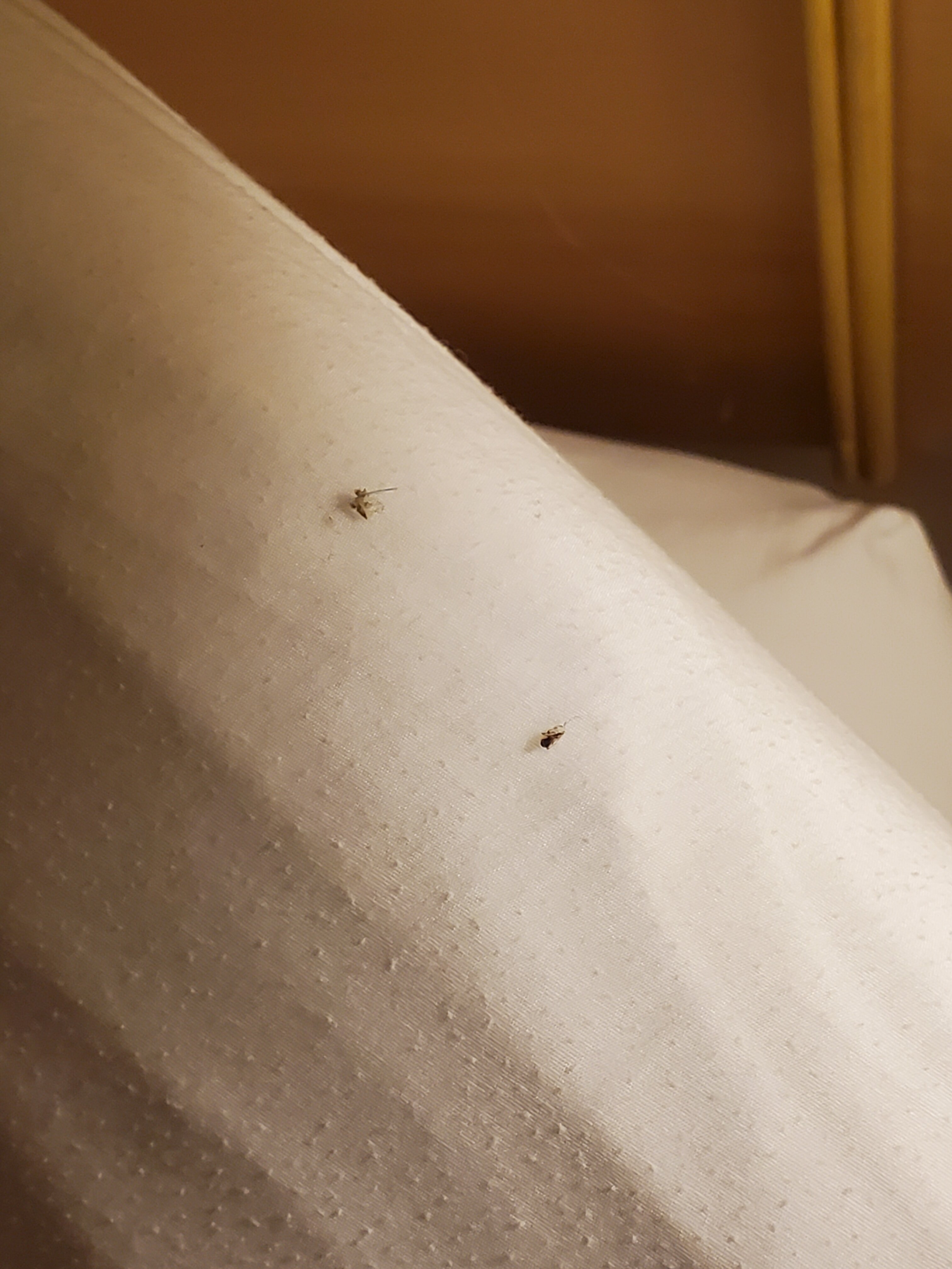 Bonnie Castle Resort & Marina-浴室