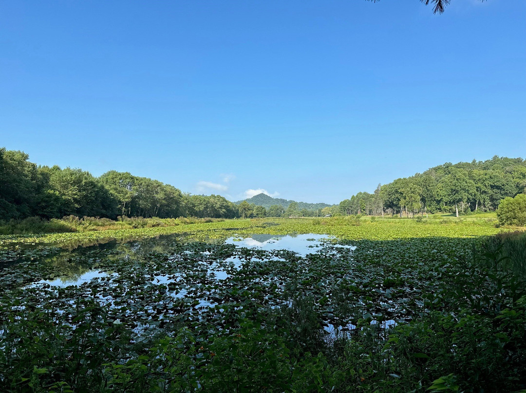 Deerwoode Reserve主图