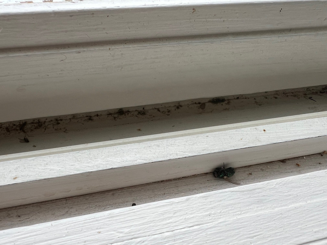 The English Inn主图