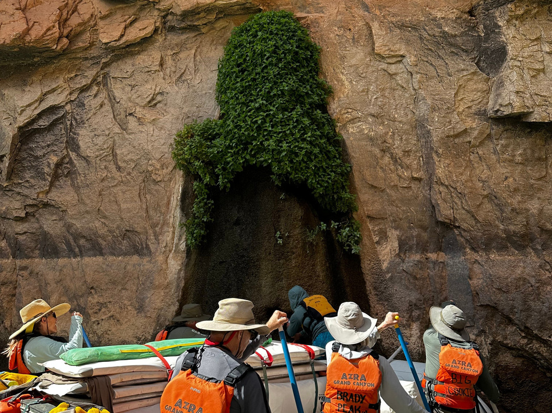 Arizona Raft Adventures-弗拉格斯塔夫必去景点