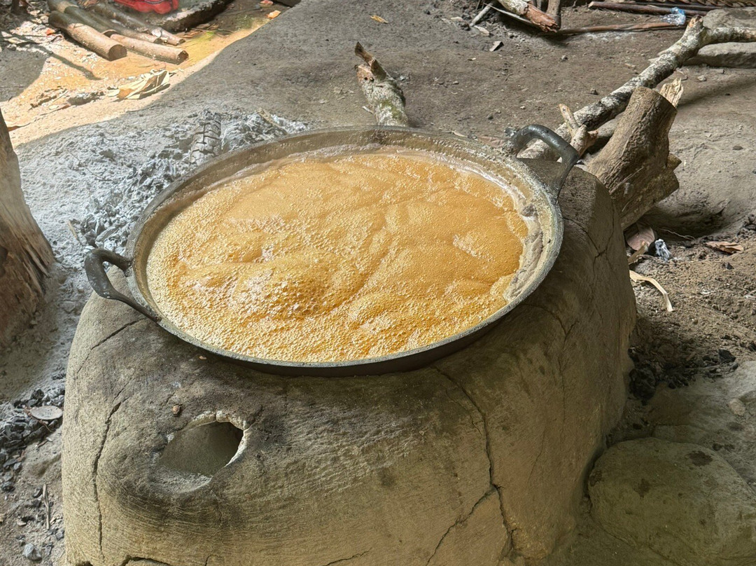 Lombok Forest Tour-Pemenang必去景点