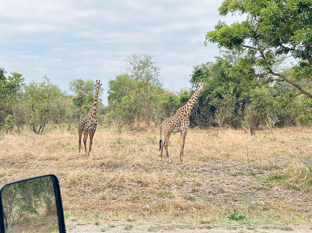 Mokimoh Adventure Tanzania-Dar es Salaam必去景点