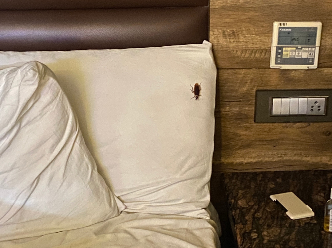 Hotel New York Plaza主图