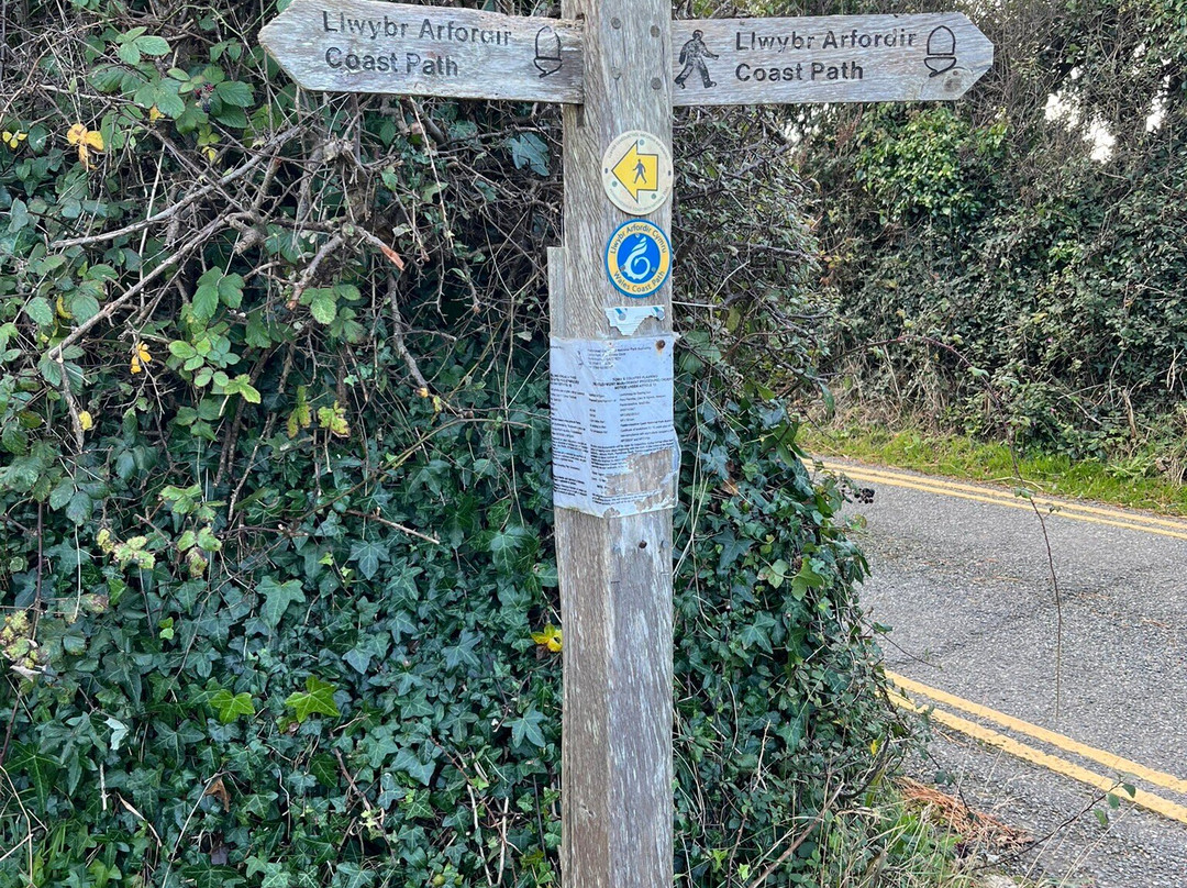 Pembrokeshire Coast National Park景点图片