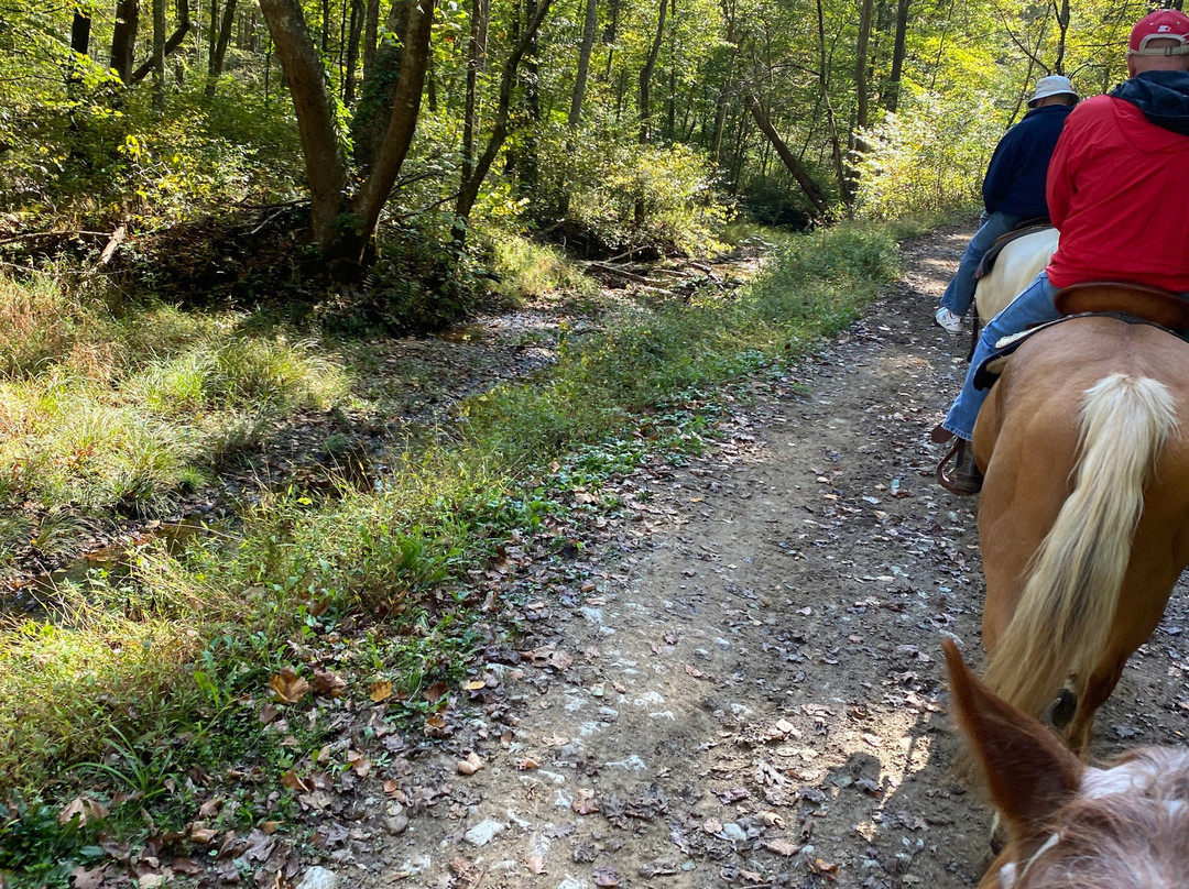 Hocking Hills Horse Rides景点图片