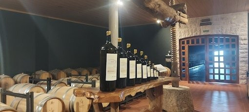 Bodegas Nabal景点图片