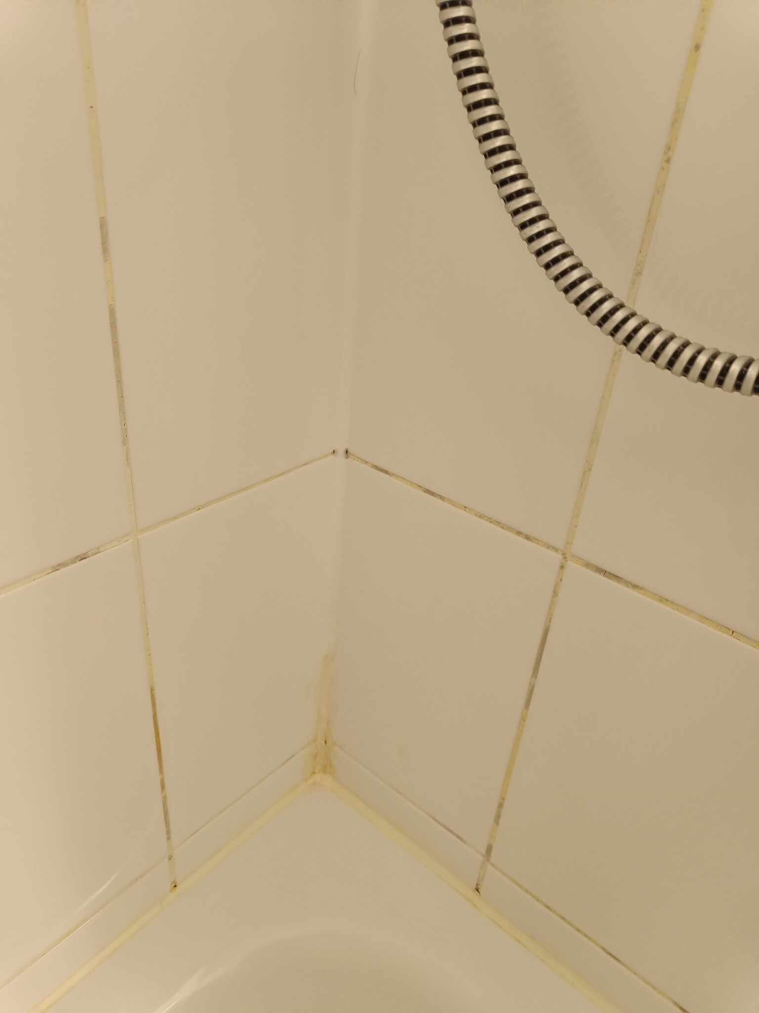 宜必思爱尔福特阿尔斯塔特酒店-浴室