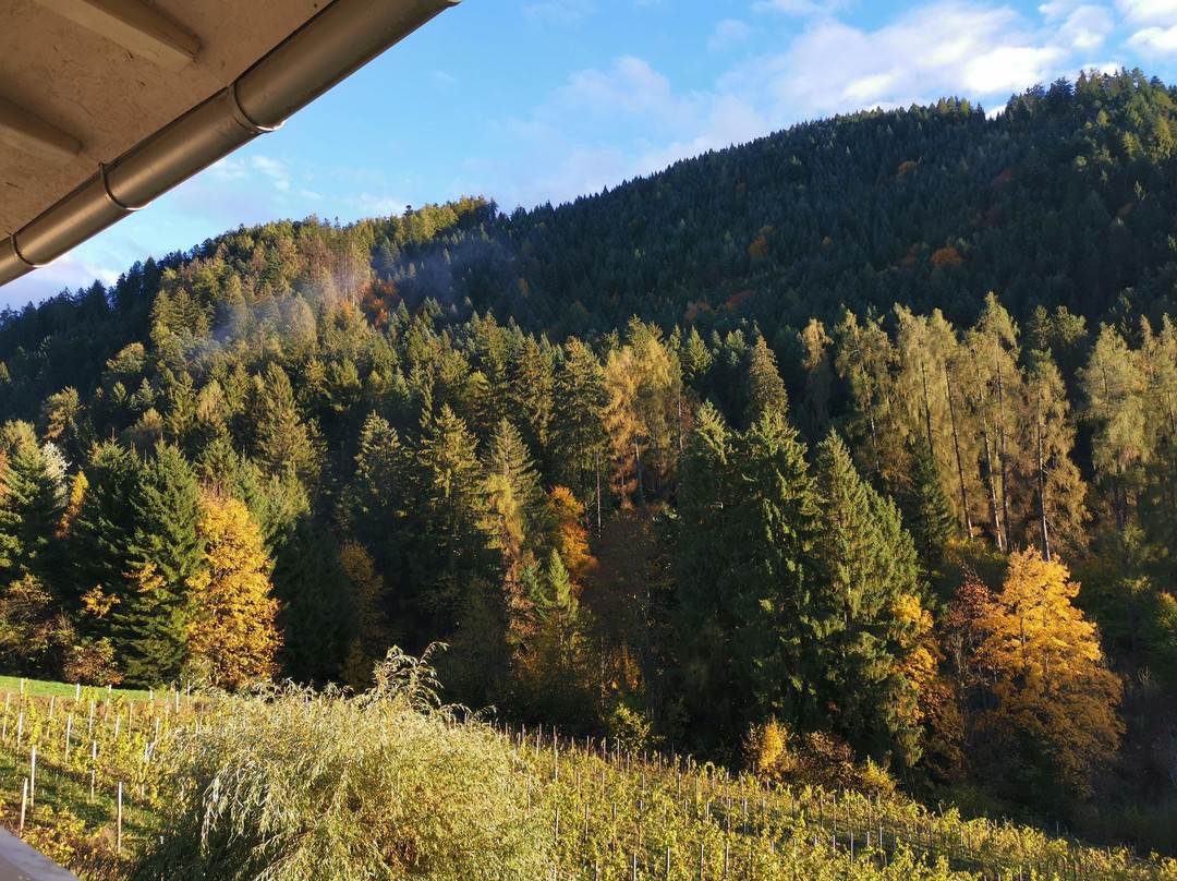 Hotel Ludwigshof & Luvina主图