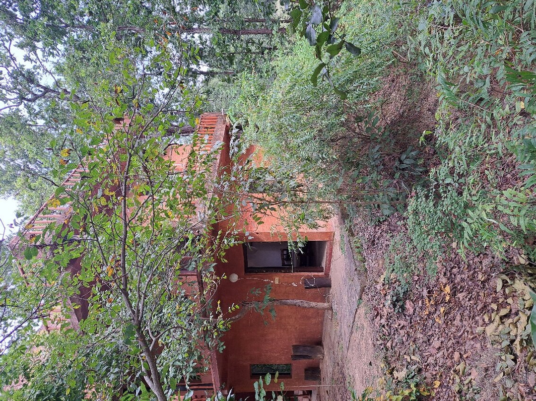 Emerald Tiger Retreat主图