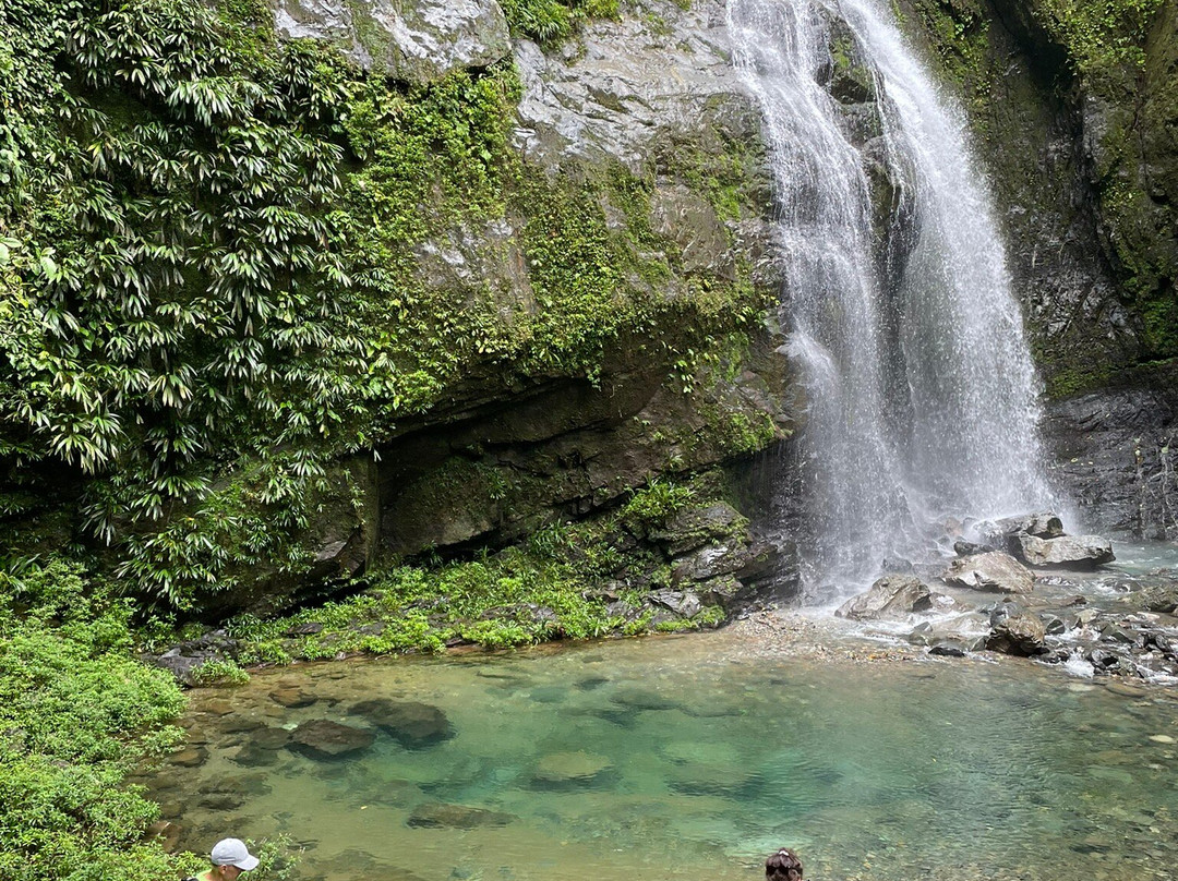 Coffee Mountain EcoTours景点图片