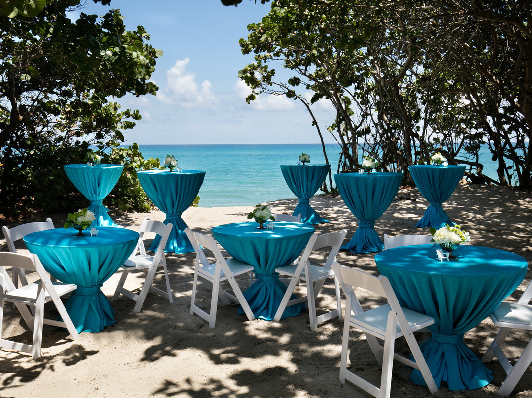 Jupiter Beach Resort & Spa主图