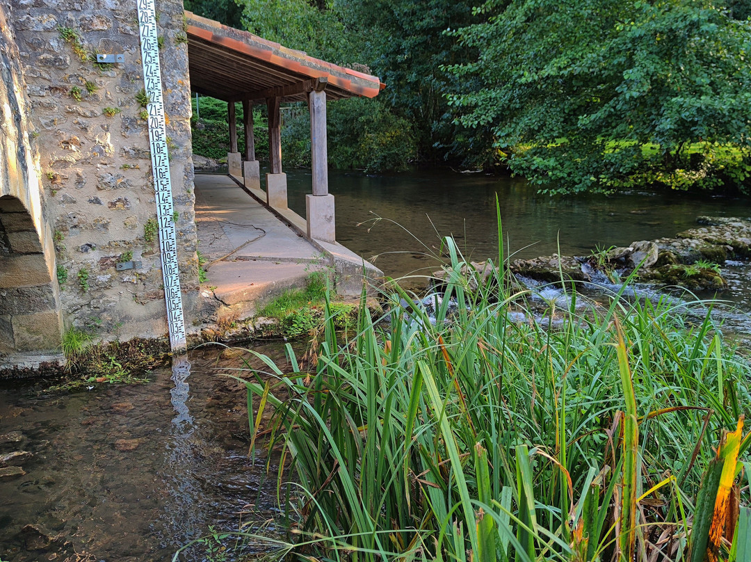 Lavoir De Quinçay景点图片