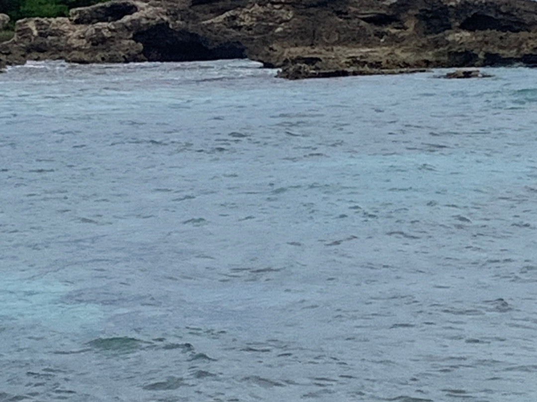 La Douche-Saint Francois必去景点